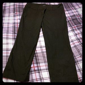 Ann Taylor Dress Capris